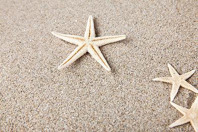 《赤痕：夜之仪式》新情报：10月更新后发布多人模式